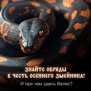 14 сентября Какие обряды в честь осеннего Змейника?